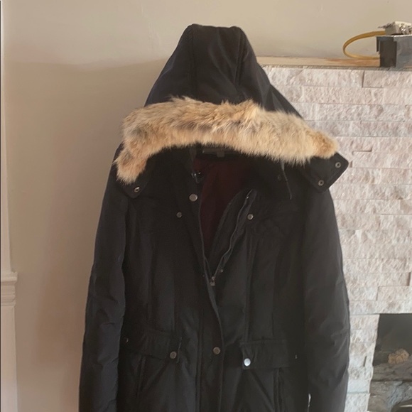 Jacket - Picture 2 of 3